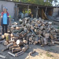 UPDATE 11.09.2025 – Lemne de foc pentru Dorina Garnita