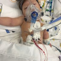 UPDATE 20.10.2025 – Viața lui Aris este în pericol din cauza unor infecții severe