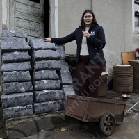 Bricheti pentru iarna
