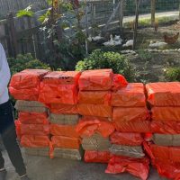 Am adus brichete pentru incalzire familiei Elenei